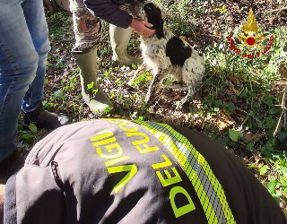 Cupra Marittima - Cane cade in un pozzo, lo salvano i vigili del fuoco